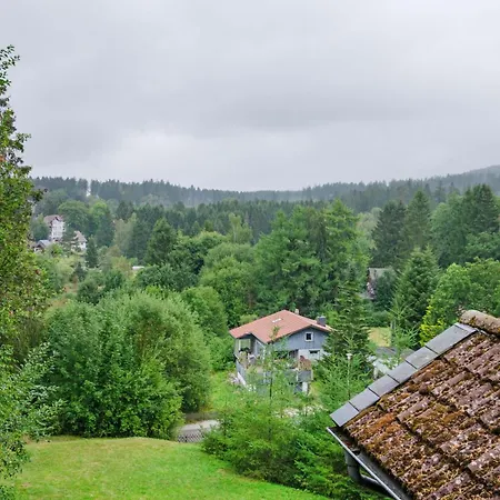 Шале Ferienhaus Chalet Гослар